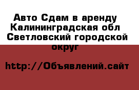 Авто Сдам в аренду. Калининградская обл.,Светловский городской округ 